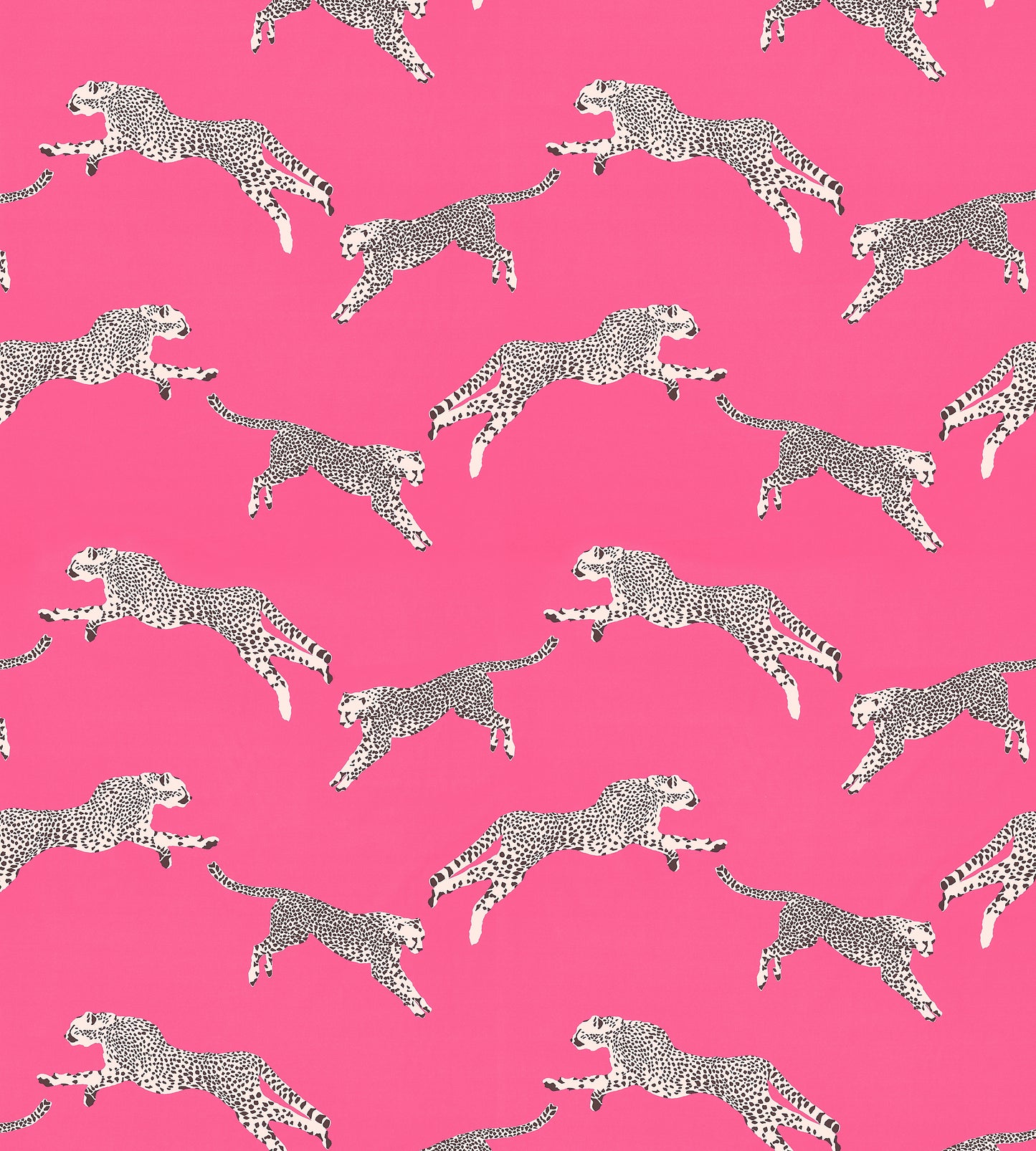 Purchase Scalamandre Fabric Pattern number SC 000316634, Leaping Cheetah Cotton Print Bubblegum 4