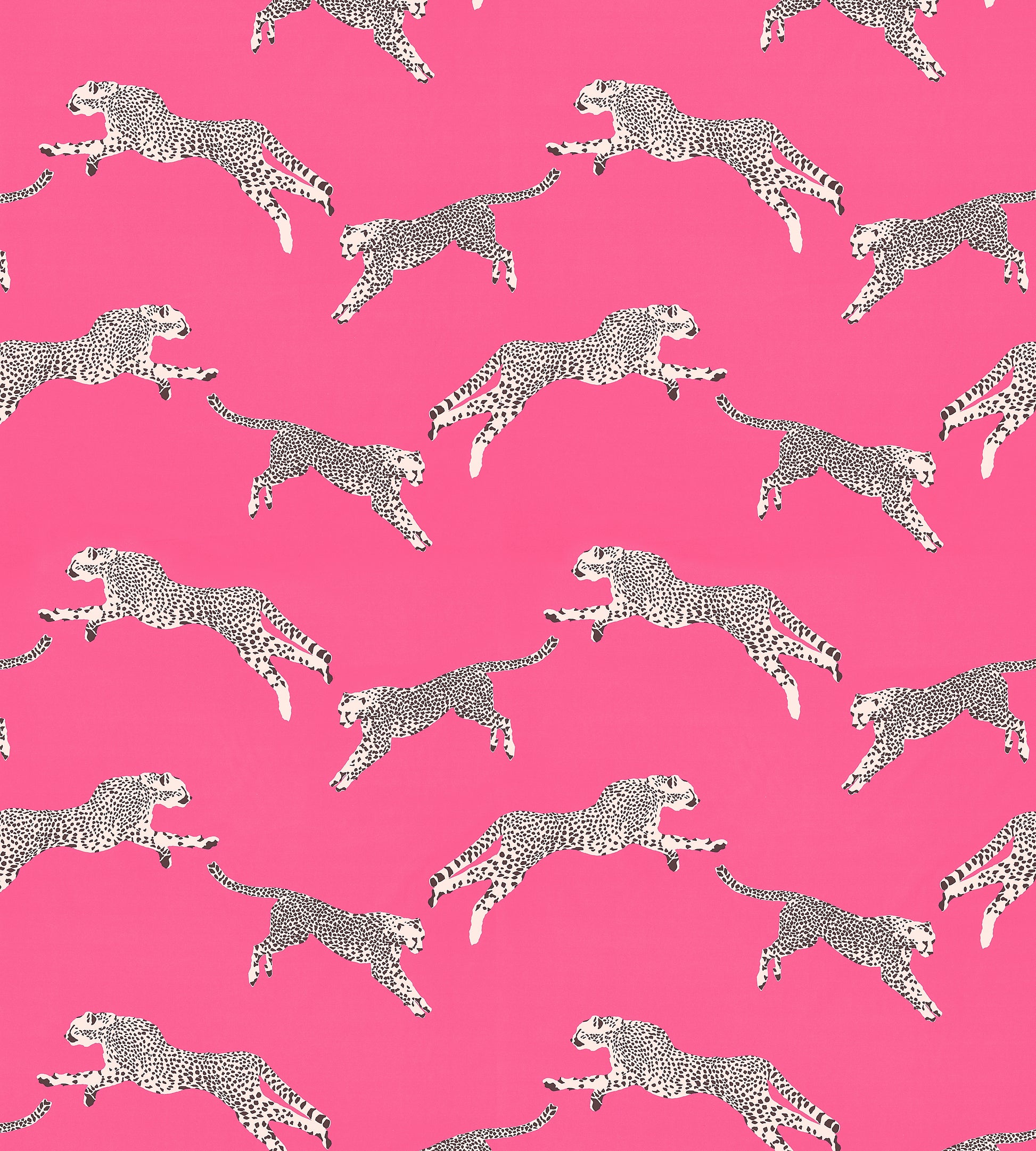 Purchase Scalamandre Fabric Pattern number SC 000316634, Leaping Cheetah Cotton Print Bubblegum 4