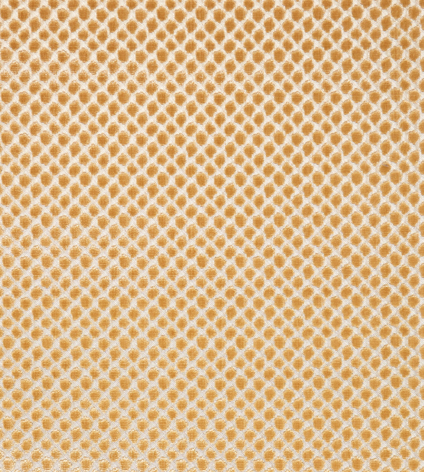 Purchase Scalamandre Fabric Pattern number SC 000327022, Etosha Velvet Palomino 1