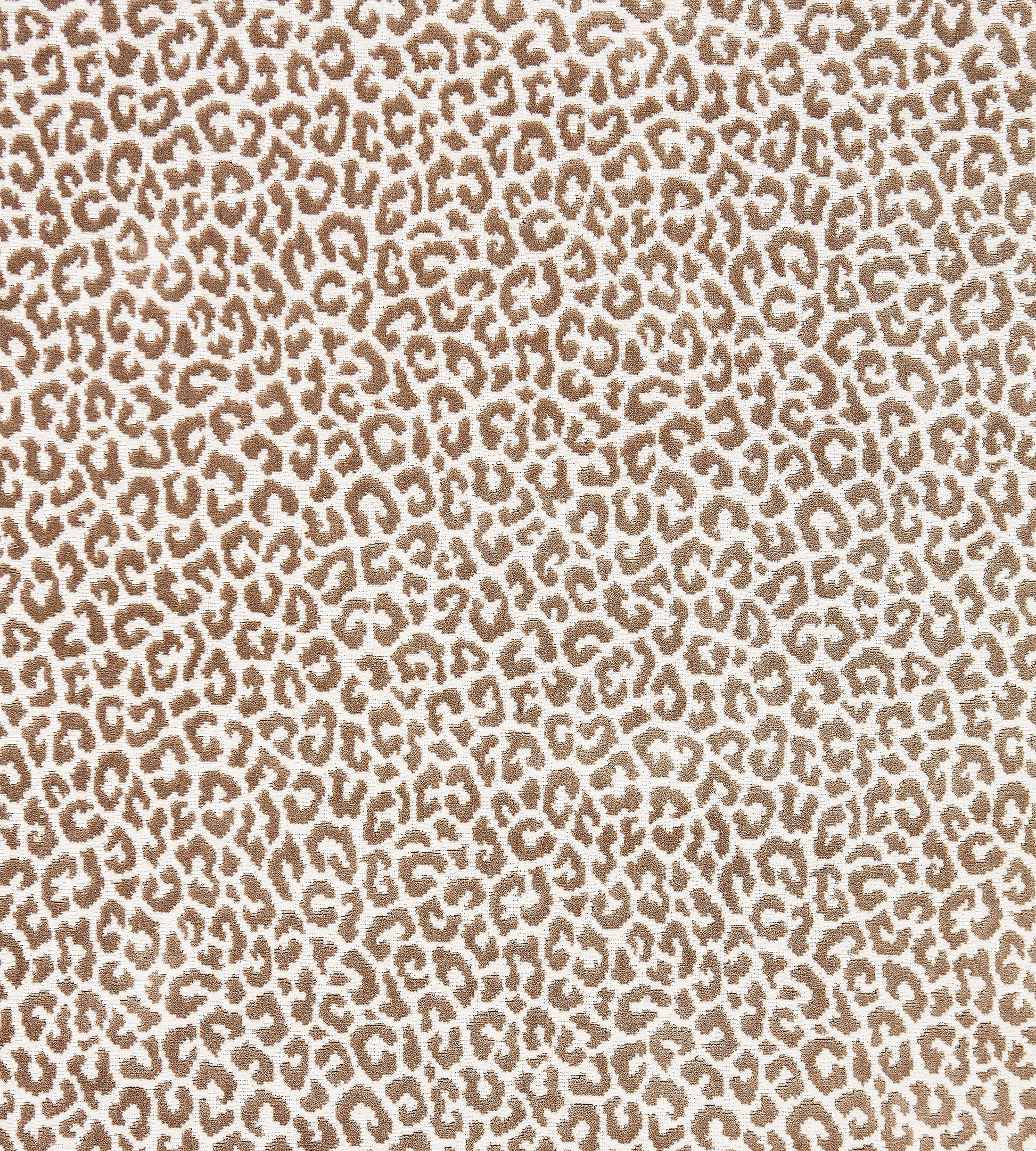 Purchase Scalamandre Fabric Item# SC 000327037, Panthera Velvet Sable 1