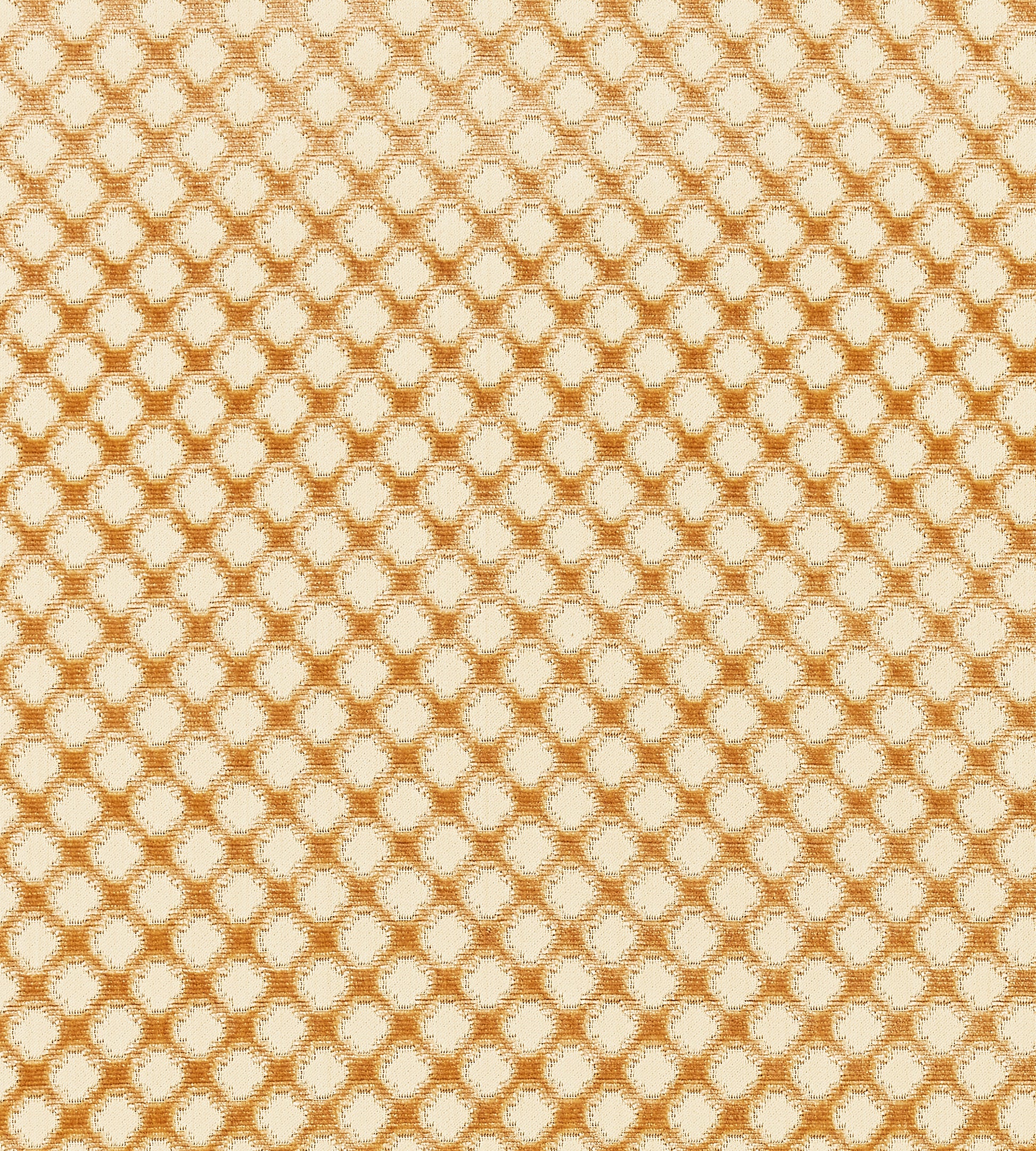 Purchase Scalamandre Fabric Pattern# SC 000426692, Pomfret - Silk Coffee On Beige 1