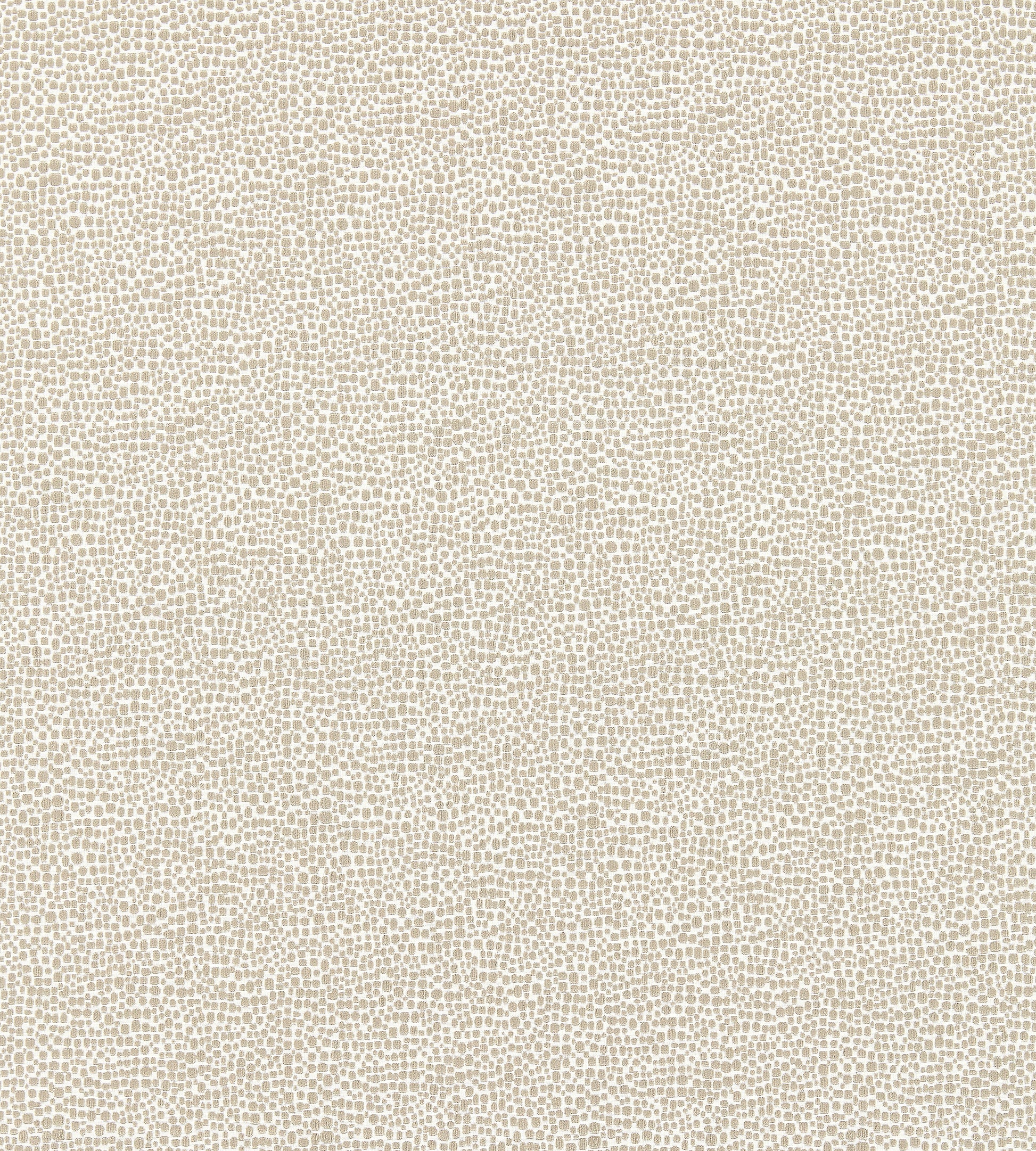 Purchase Scalamandre Fabric Pattern# SC 000426914M, Shagreen Pearl Grey 1