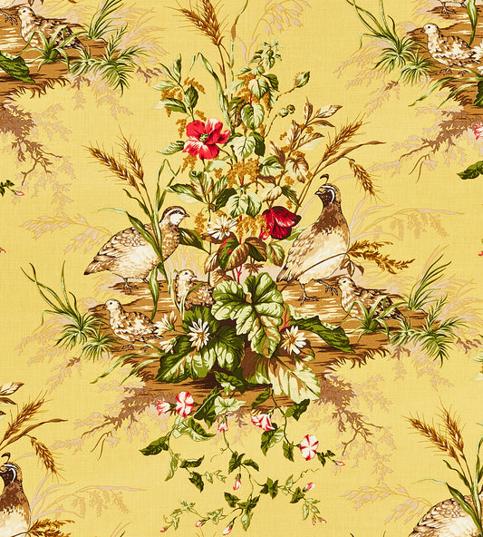 Purchase Scalamandre Fabric Product SC 000516310, Edwin'S Covey Linen Print Multi On Mustard 1