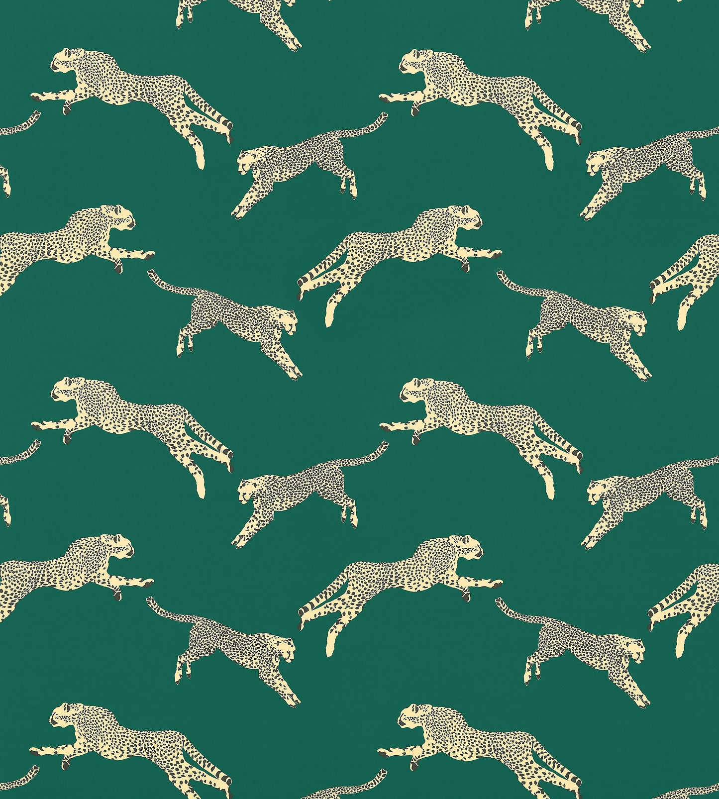 Purchase Scalamandre Fabric Item# SC 000516634, Leaping Cheetah Cotton Print Evergreen 4