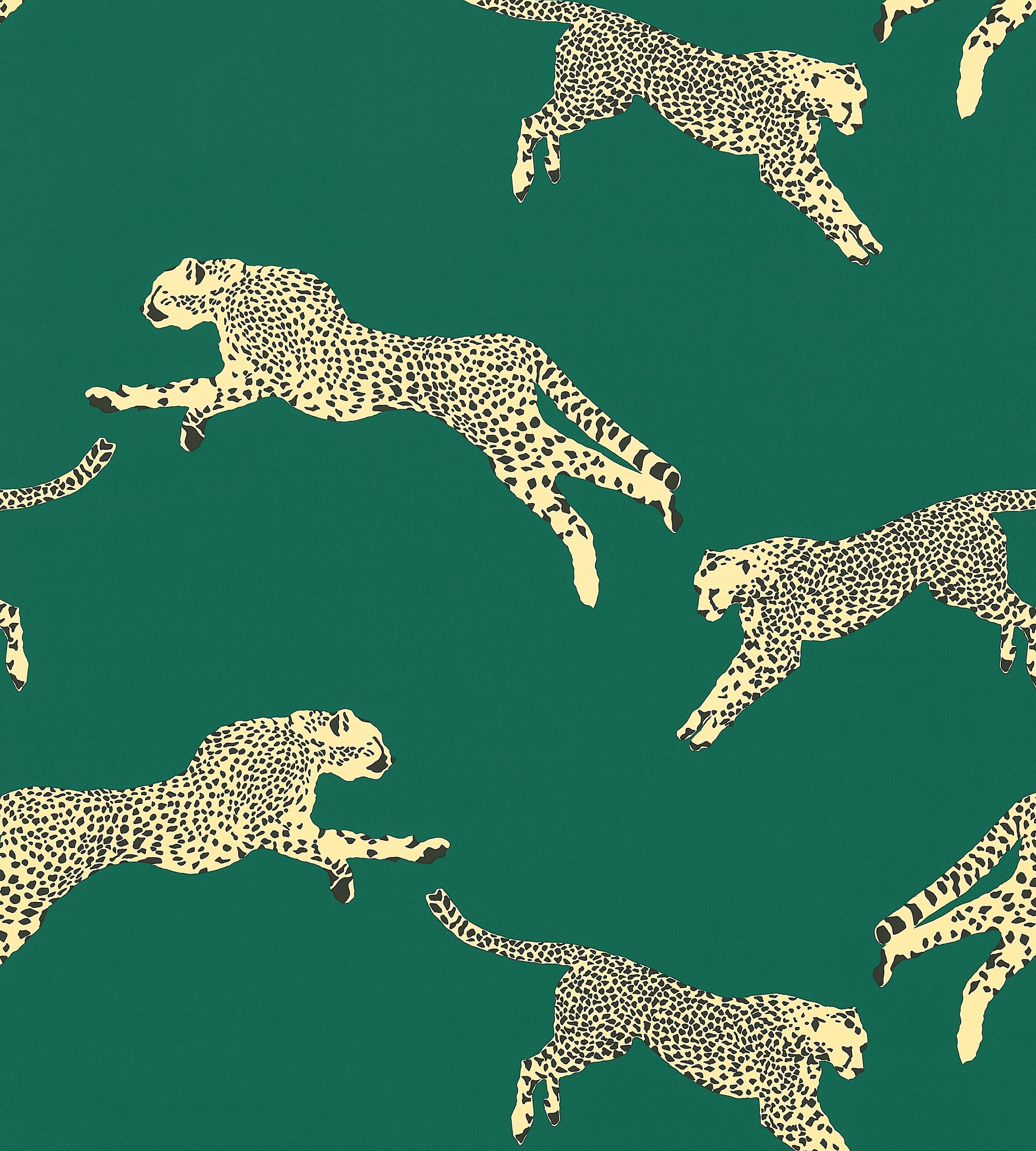 Purchase Scalamandre Fabric Item# SC 000516634, Leaping Cheetah Cotton Print Evergreen 1