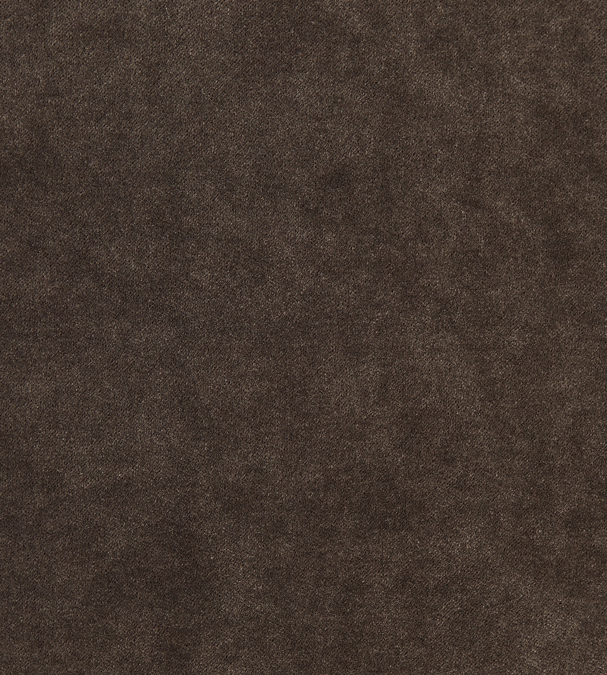 Purchase Boris Kroll Fabric Item SC 0005K65110, Aurora Velvet Sable 1