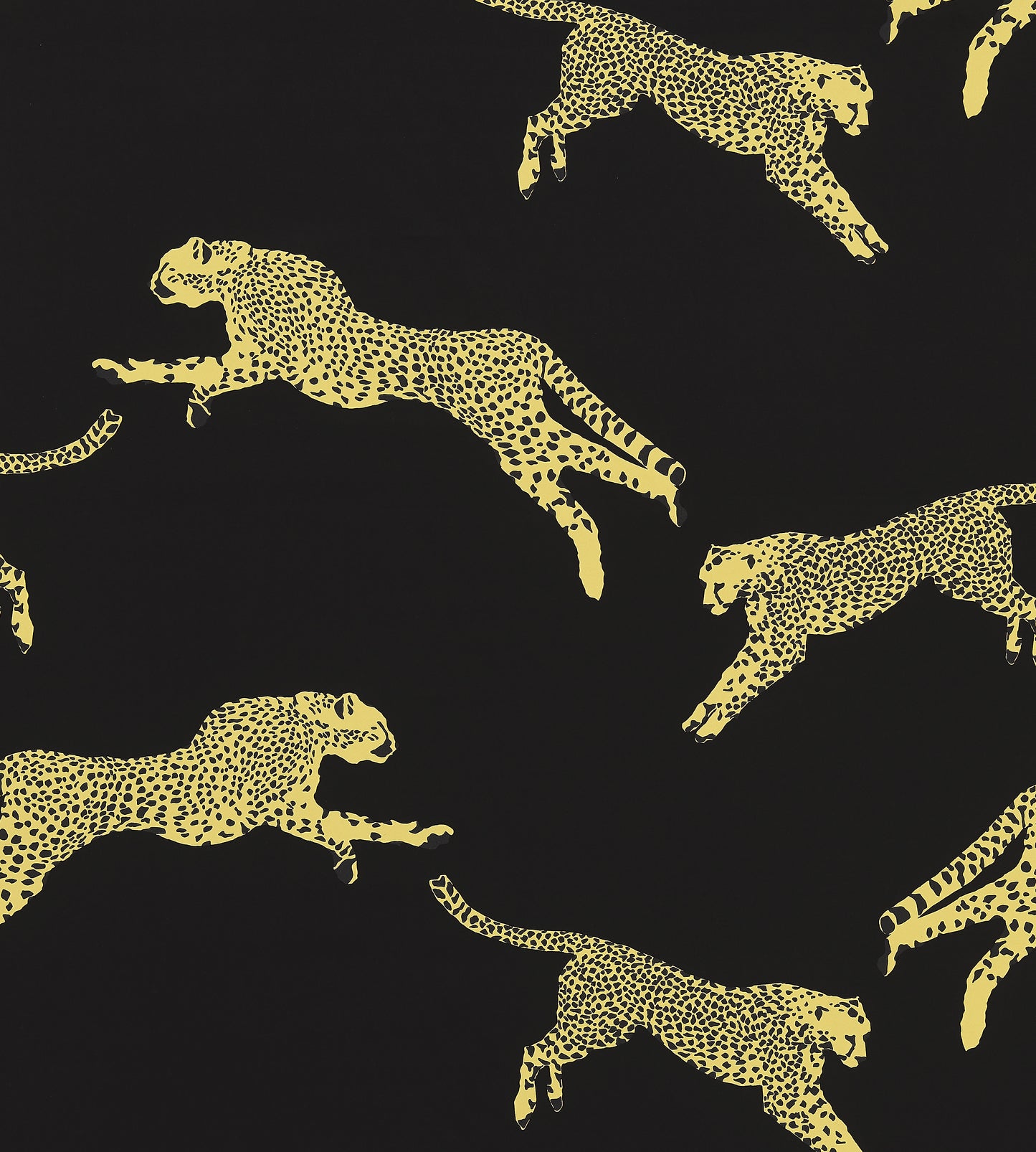 Purchase Scalamandre Fabric SKU# SC 000616634, Leaping Cheetah Cotton Print Black Magic 2