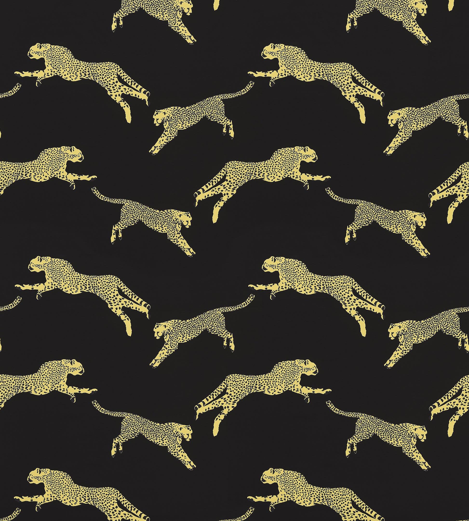 Purchase Scalamandre Fabric SKU# SC 000616634, Leaping Cheetah Cotton Print Black Magic 6