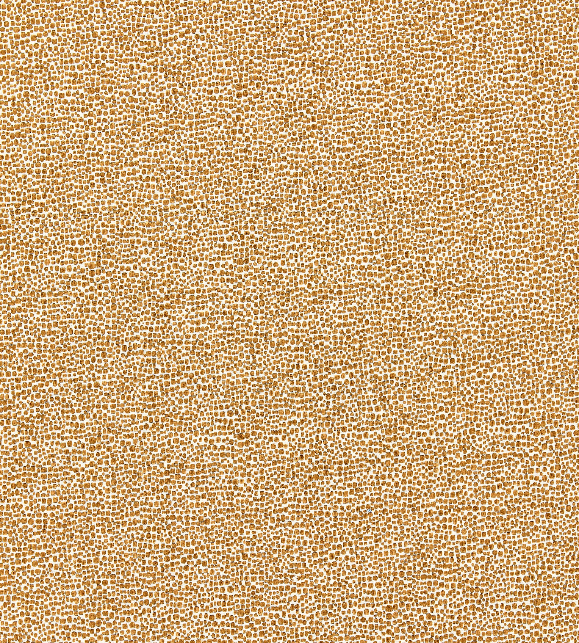 Purchase Scalamandre Fabric Product# SC 000626914M, Shagreen Beige 1