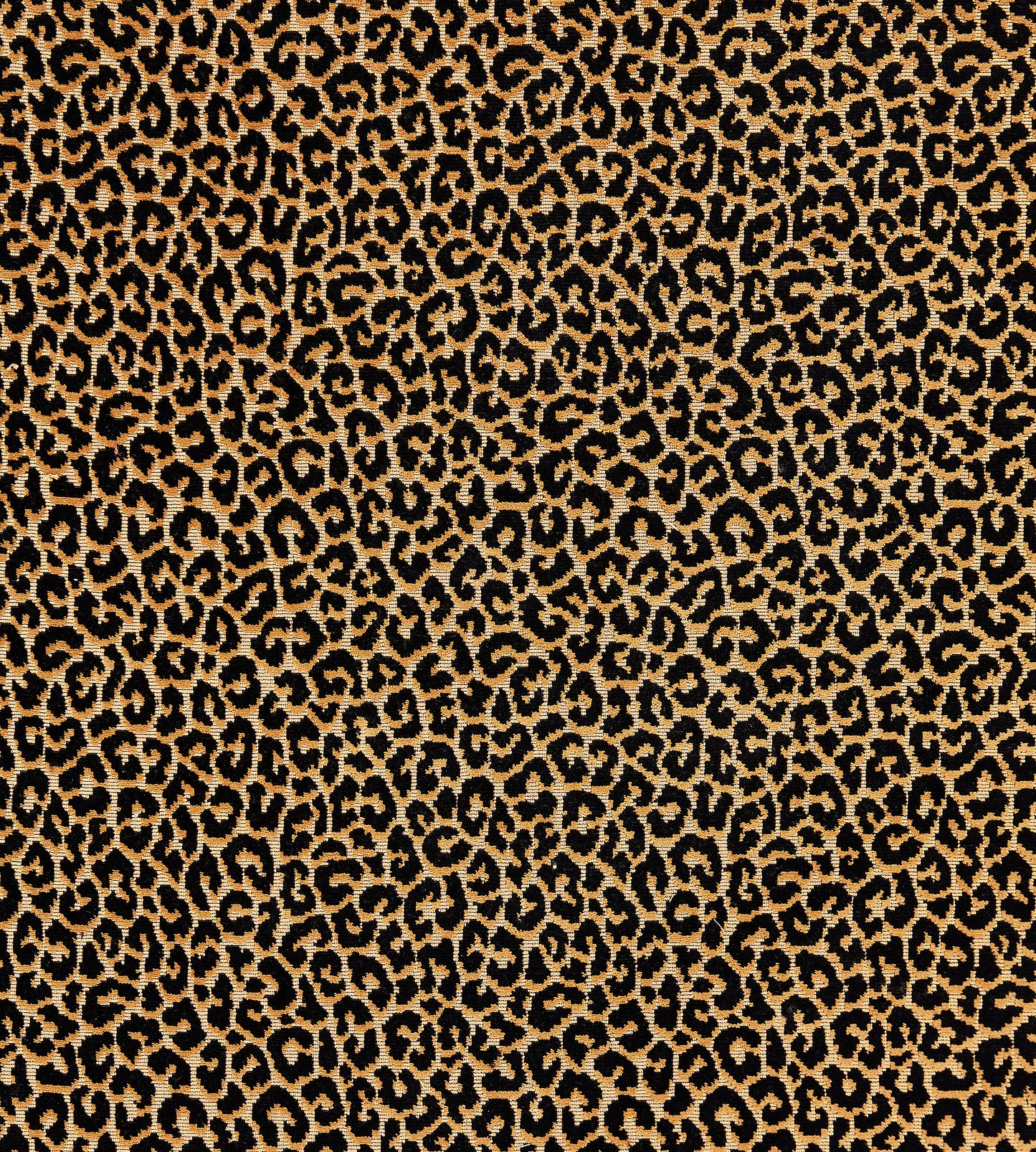 Purchase Scalamandre Fabric Product# SC 000627037, Panthera Velvet Ebony 1