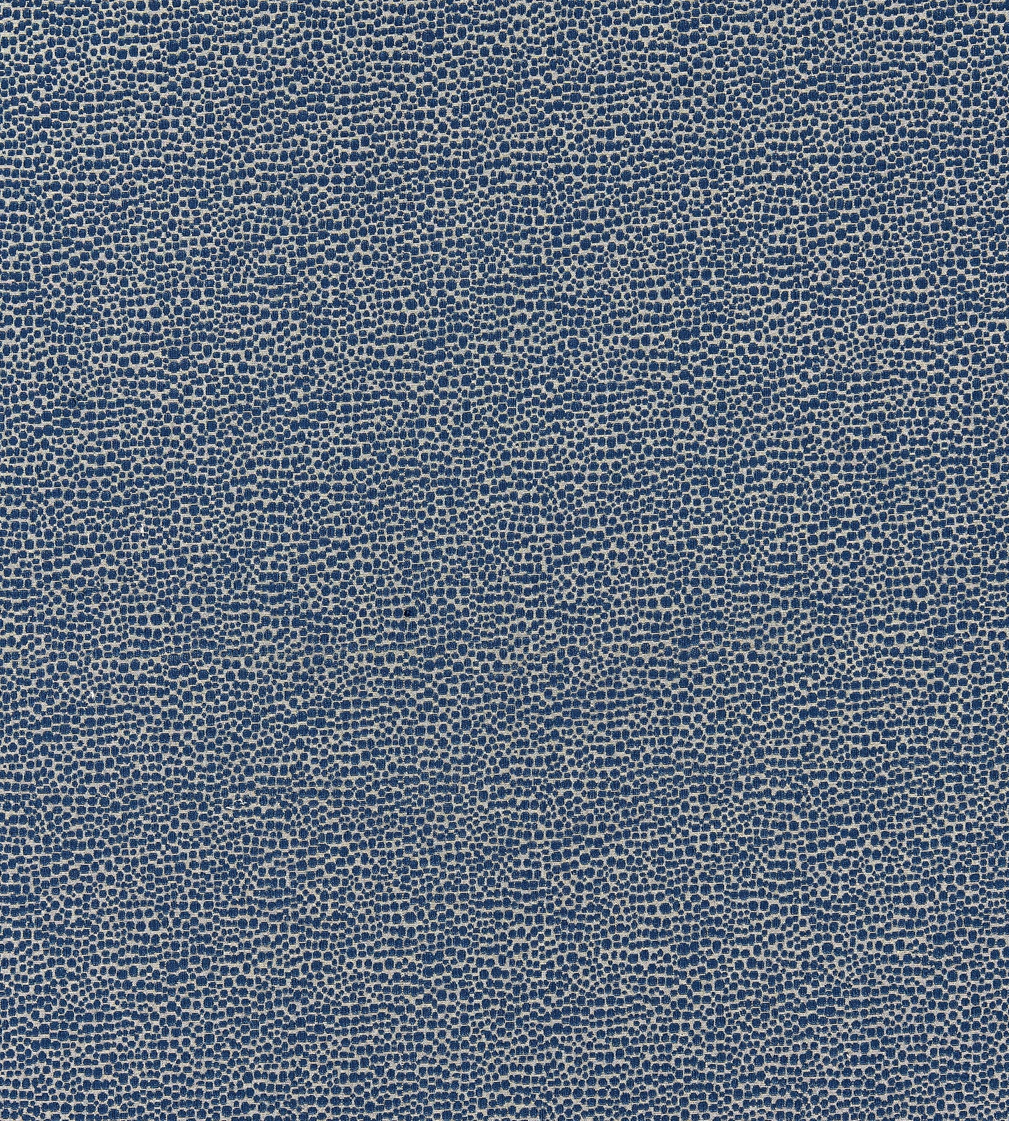 Purchase Scalamandre Fabric Product SC 000726914M, Shagreen Blue 1