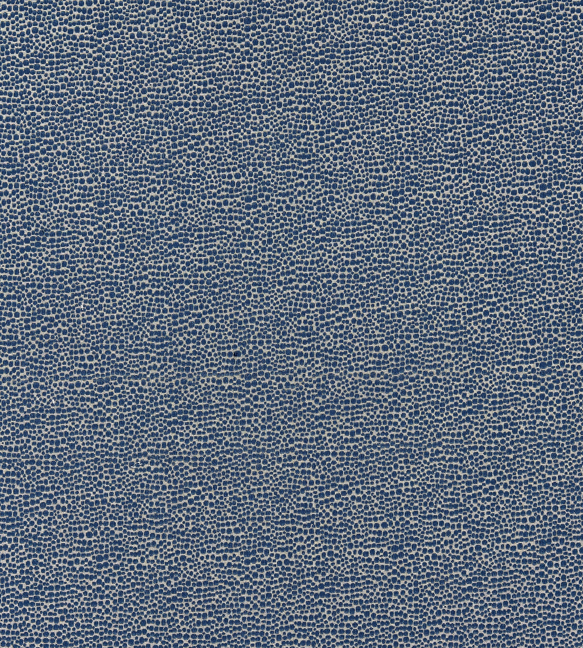 Purchase Scalamandre Fabric Product SC 000726914M, Shagreen Blue 1