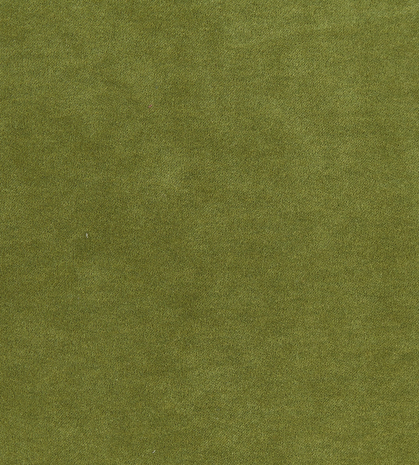 Purchase Boris Kroll Fabric Pattern# SC 0012K65110, Aurora Velvet Moss 1