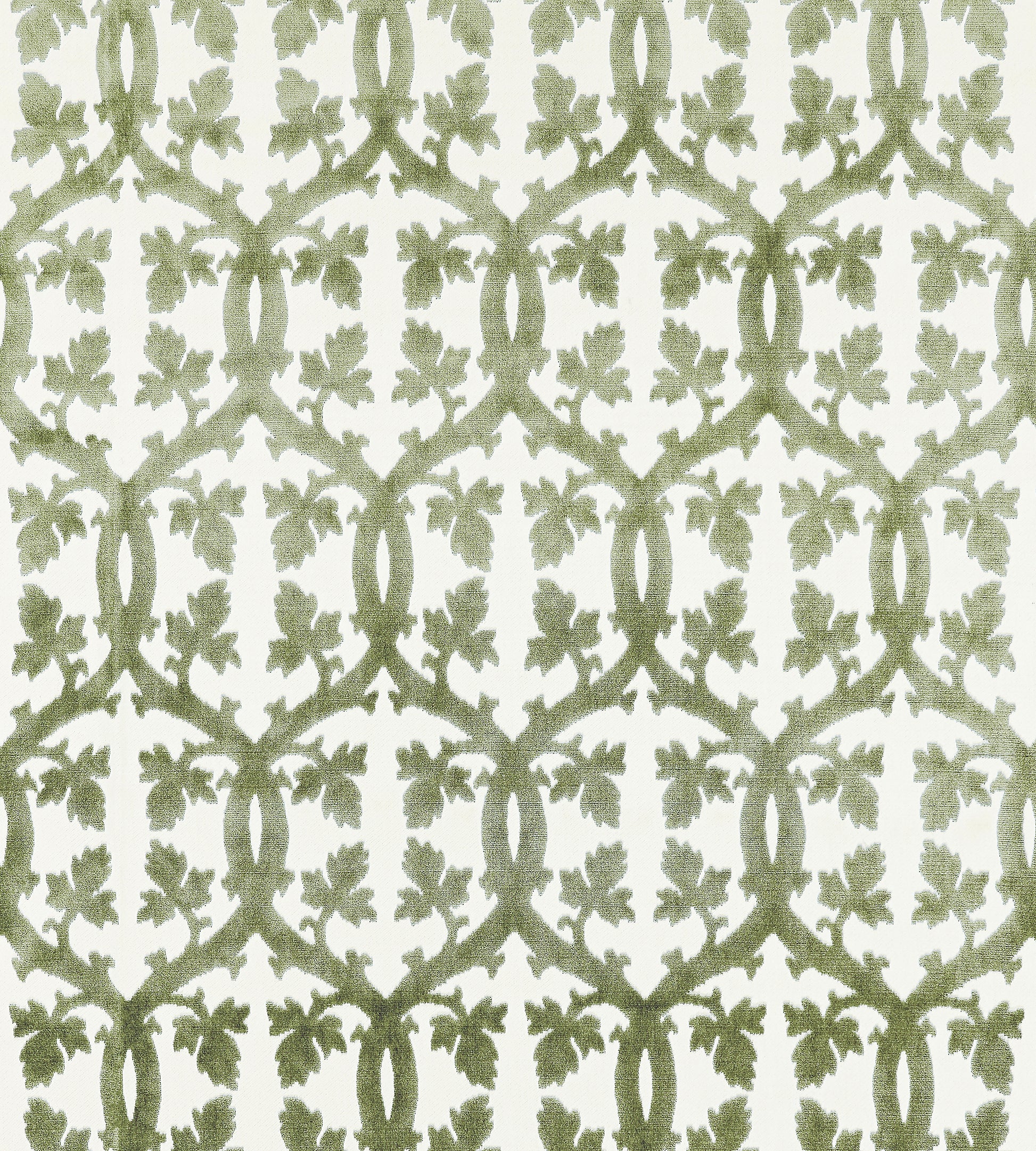 Purchase Scalamandre Fabric Pattern# SC 001626690M, Falk Manor House Green Tea 1