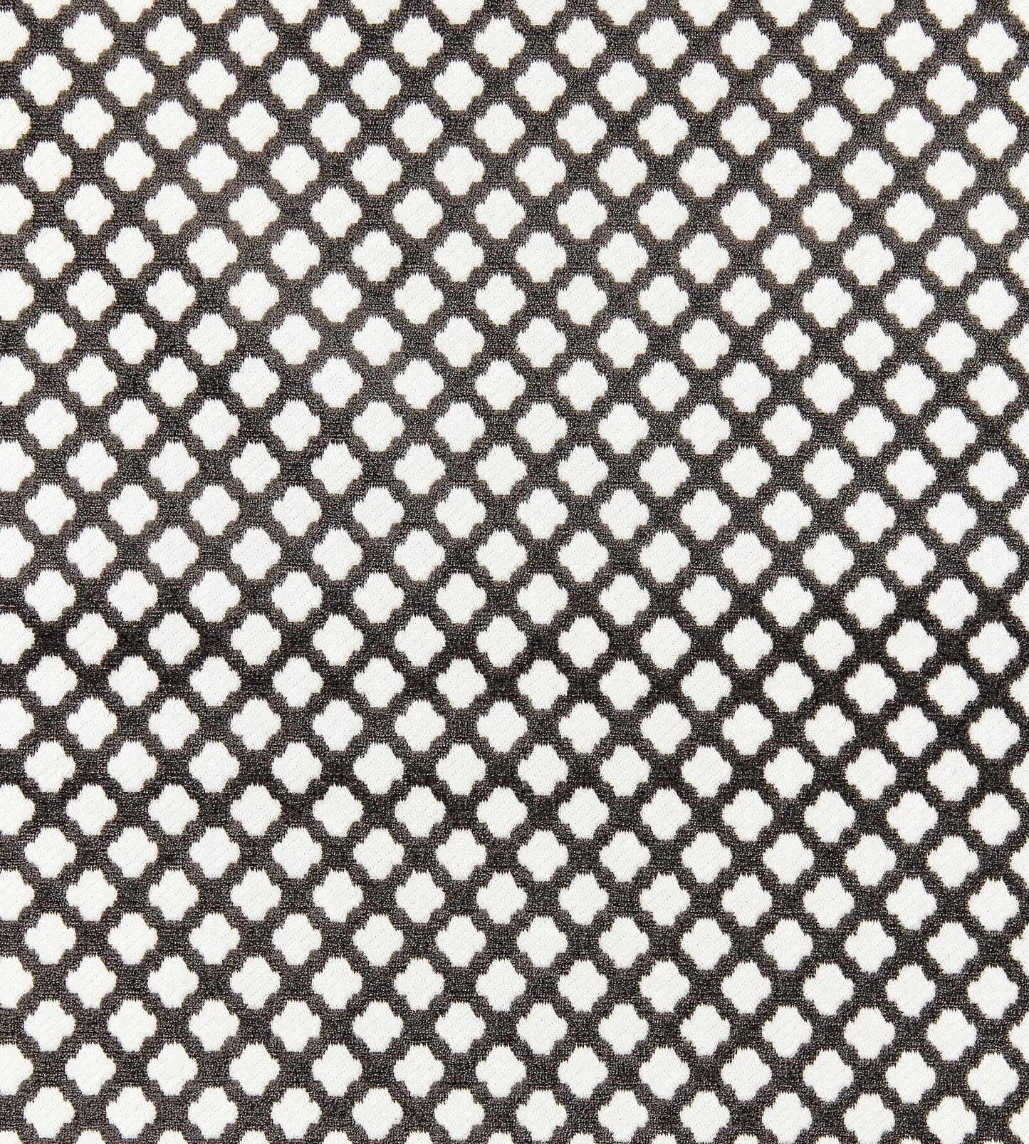 Purchase Scalamandre Fabric Pattern SC 001926692M, Pomfret Carbon 1
