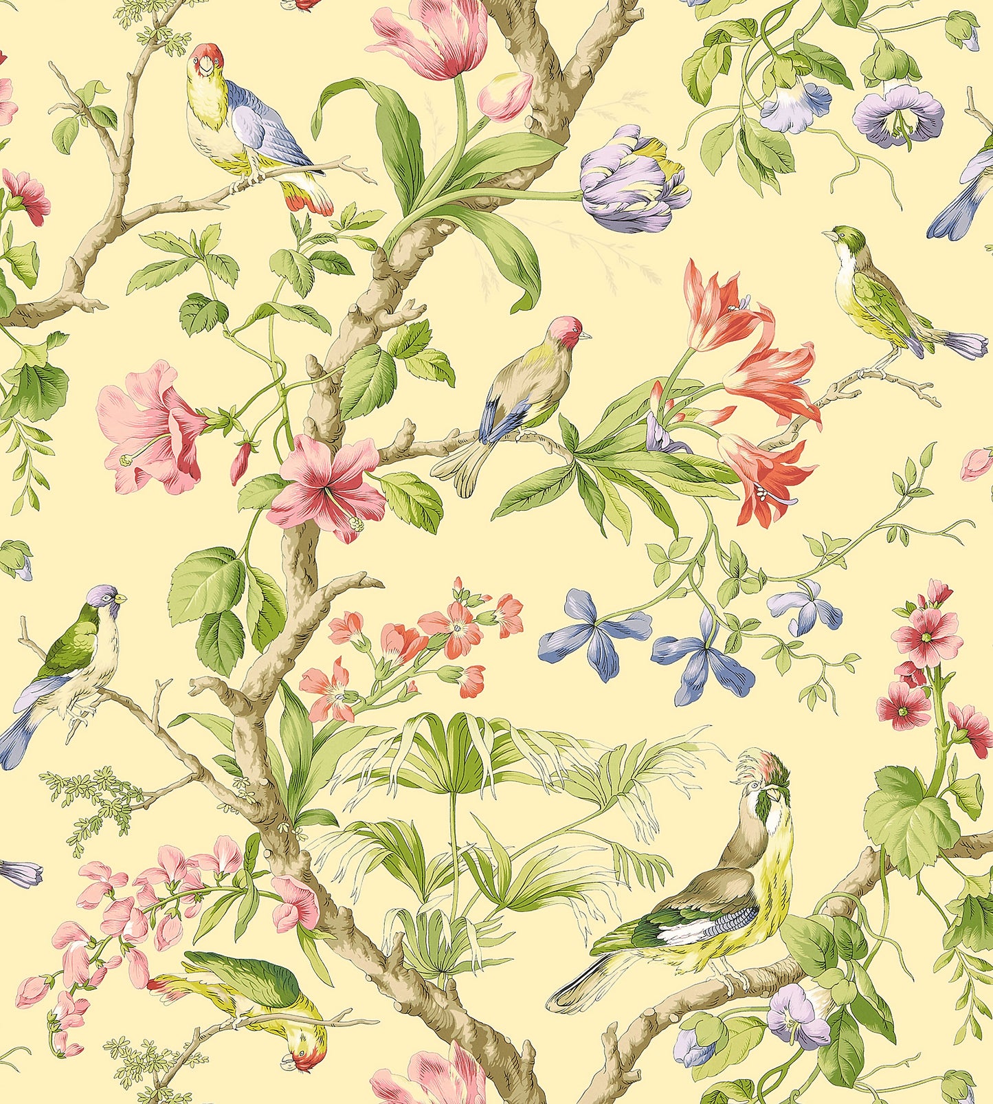 Save Scalamandre Wallpaper Pattern Sc 0002Wp88381 Name Belize Sunlit Bird Wallpaper
