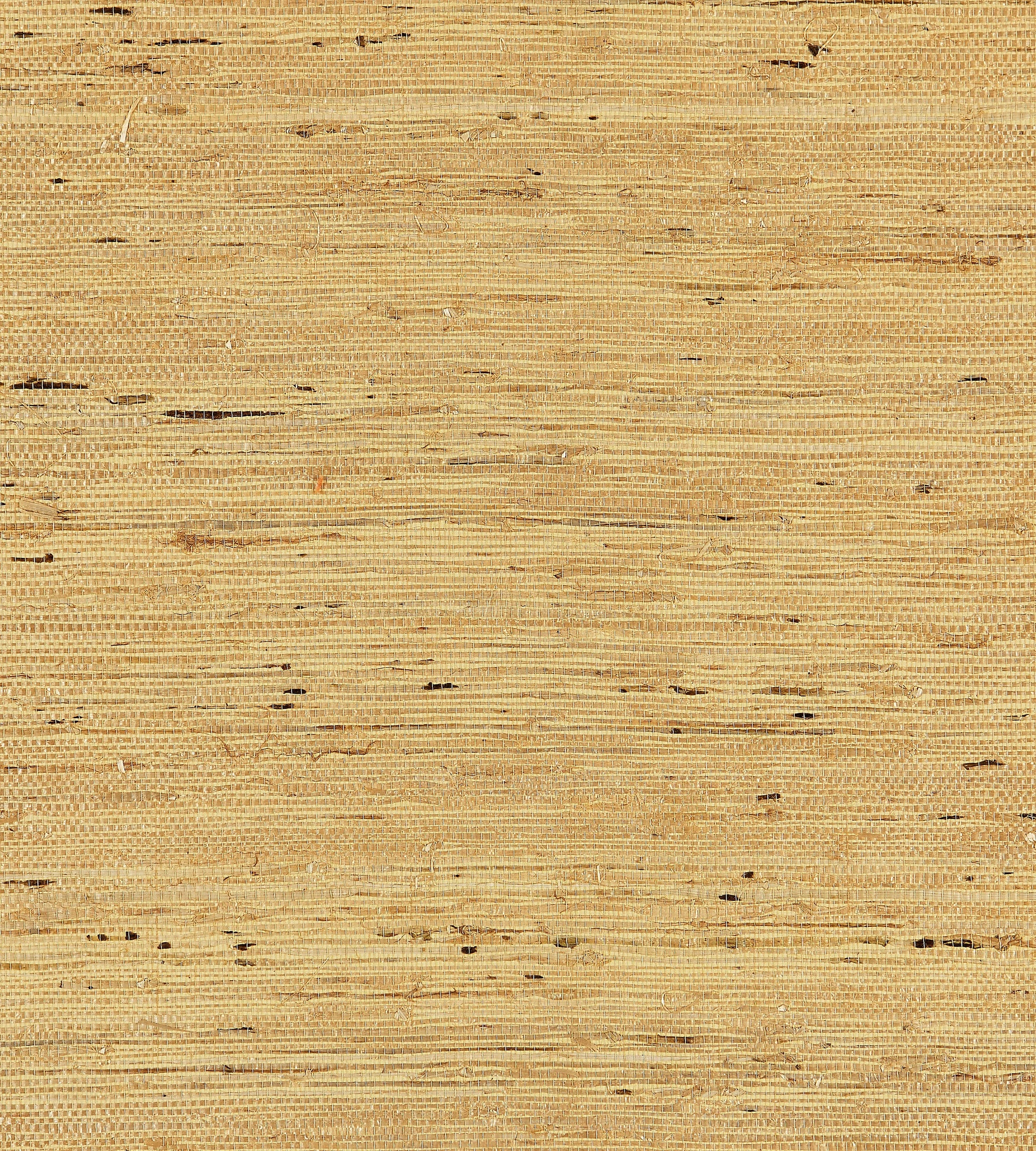 Find Scalamandre Wallpaper Pattern Sc 0003Wp88344 Name Arrowroot Weave Honey Texture Wallpaper