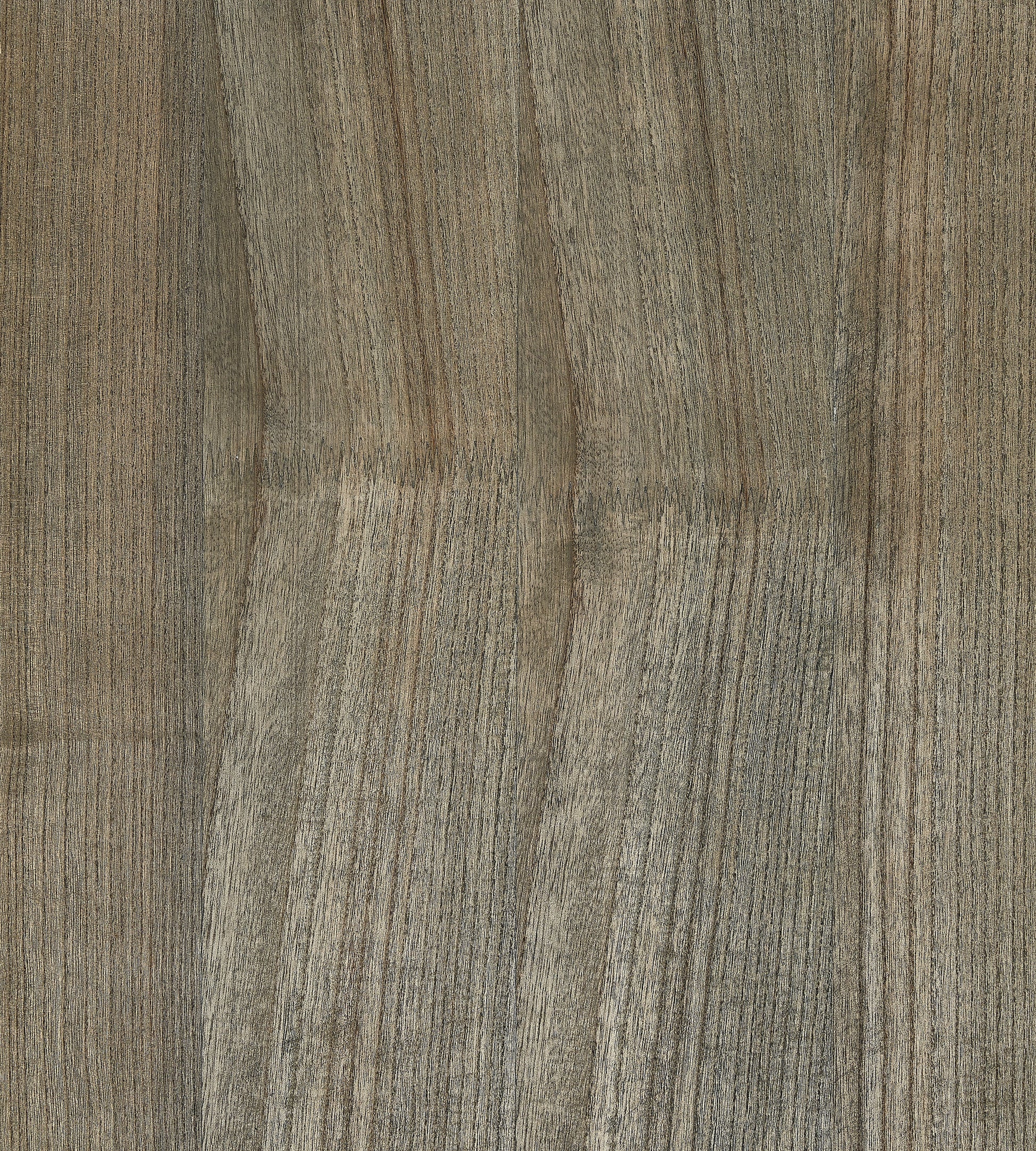 Save Scalamandre Wallpaper Pattern Sc 0004Wp88478 Name Woodgrain Shark Texture Wallpaper
