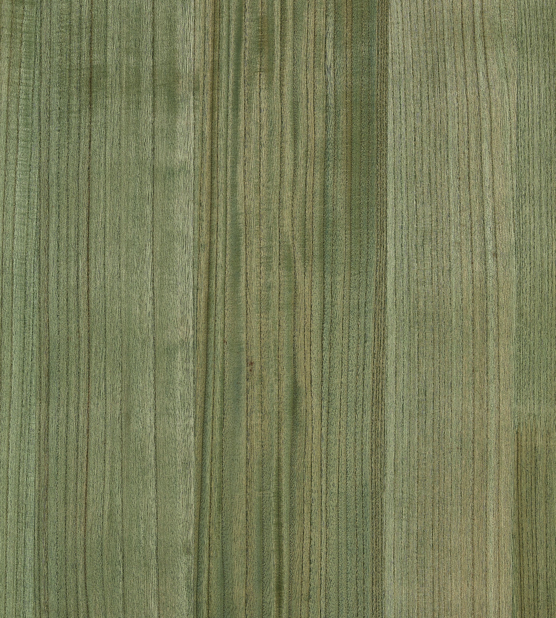 Buy Scalamandre Wallpaper Pattern Sc 0014Wp88478 Name Woodgrain Pear Texture Wallpaper