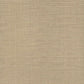 Purchase Si25876 | Signature Textures 3, Lotus Silk Hazelnut - York Wallpaper