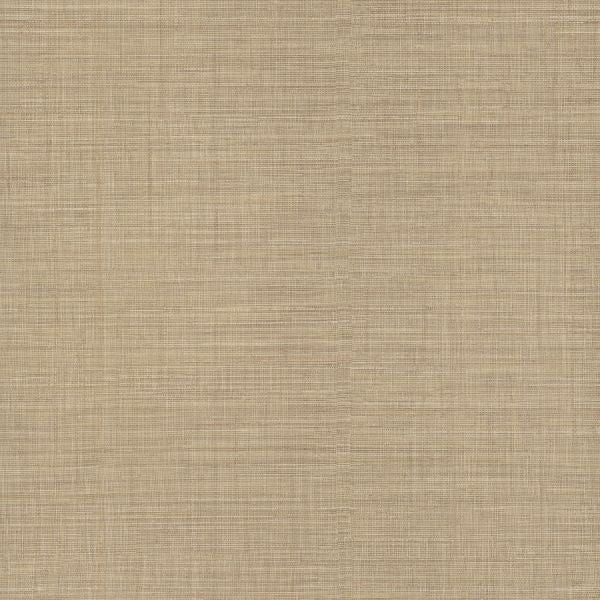 Purchase Si25876 | Signature Textures 3, Lotus Silk Hazelnut - York Wallpaper