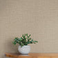 Purchase Si26144 | Signature Textures 3, Loom Hazelnut - York Wallpaper