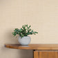 Purchase Si26145 | Signature Textures 3, Loom Wheat - York Wallpaper