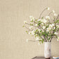 Purchase Si6907 | Montecito, Cromie Ivory - York Wallpaper