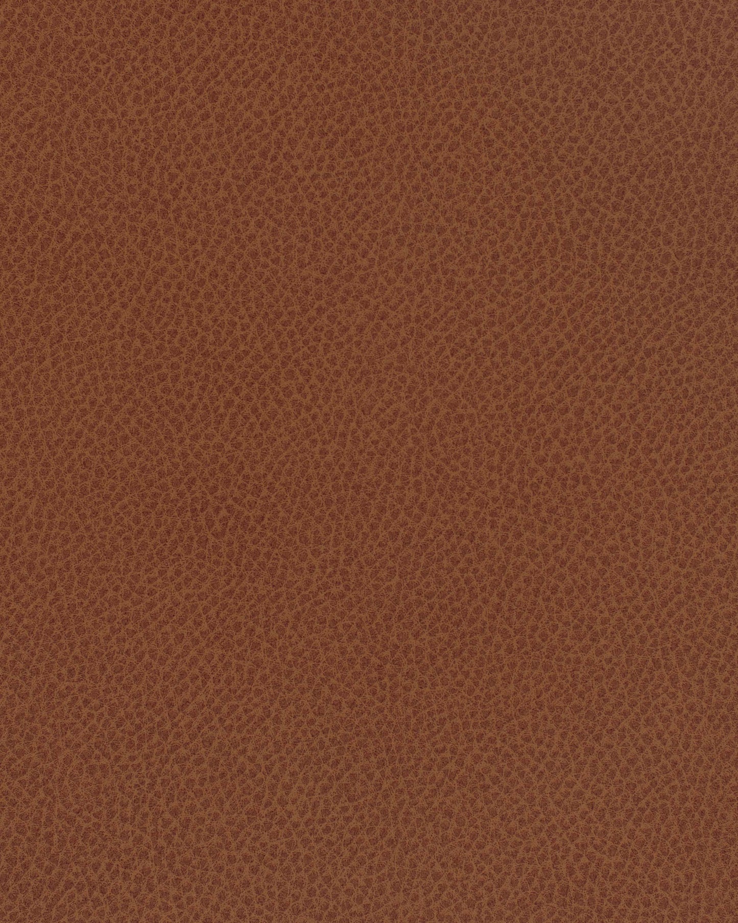 Purchase Maxwell Fabric - Scene, # 733 Curry