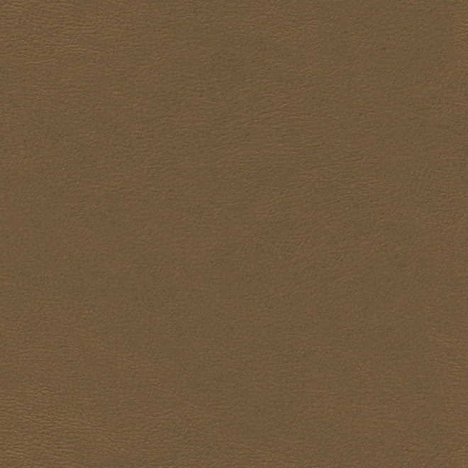 Purchase Maxwell Fabric - Shaw-Nj, # 788 Earth