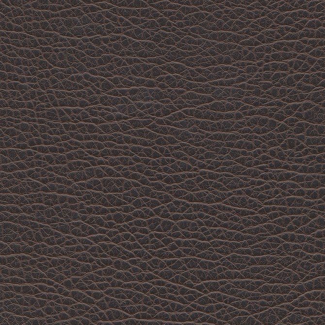 Purchase Maxwell Fabric - Spire-Nj, # 1195 Black Coffee