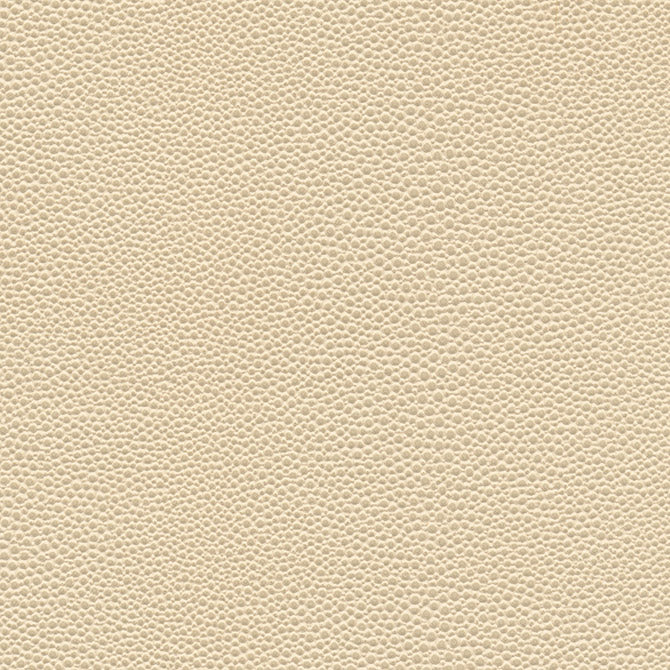 Purchase Maxwell Fabric - Stingray-Nj, # 1067 Seashell