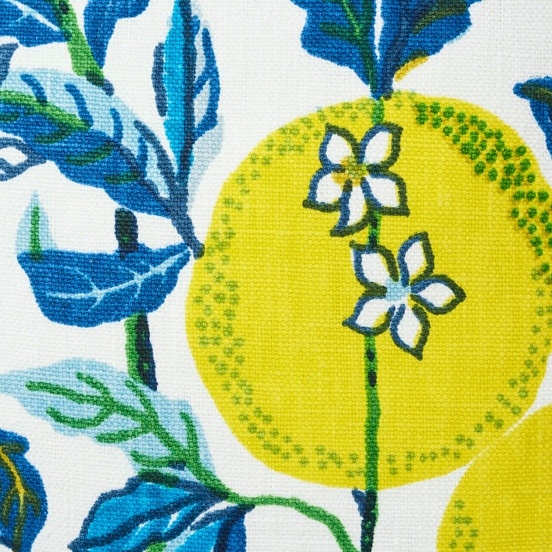 Purchase So17576104 | Citrus Garden Pillow, Pool - Schumacher Pillows