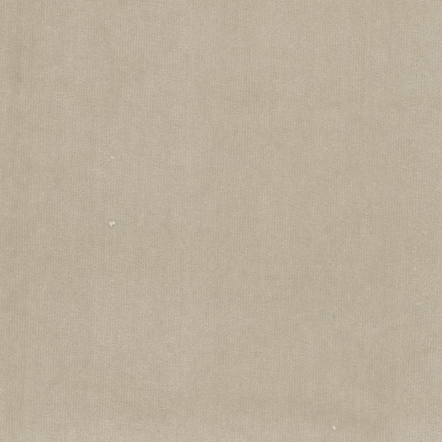 Purchase Stout Fabric Product# Spock 8 Birch