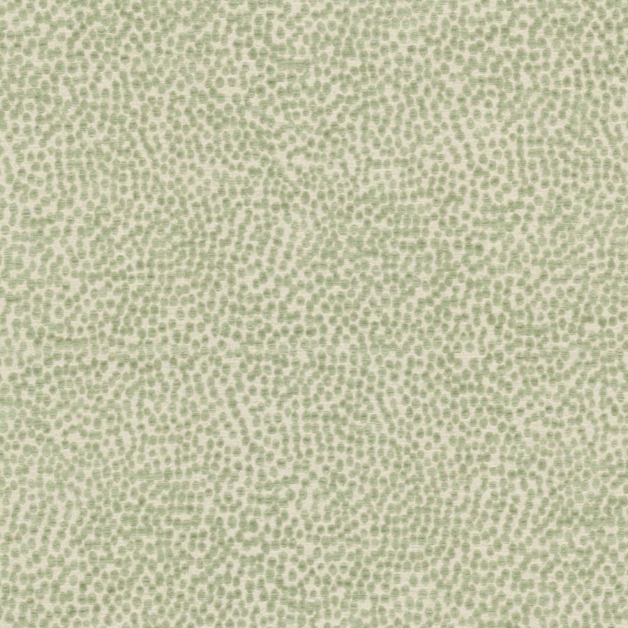 Purchase Stout Fabric Product Spotswood 2 Dewkist