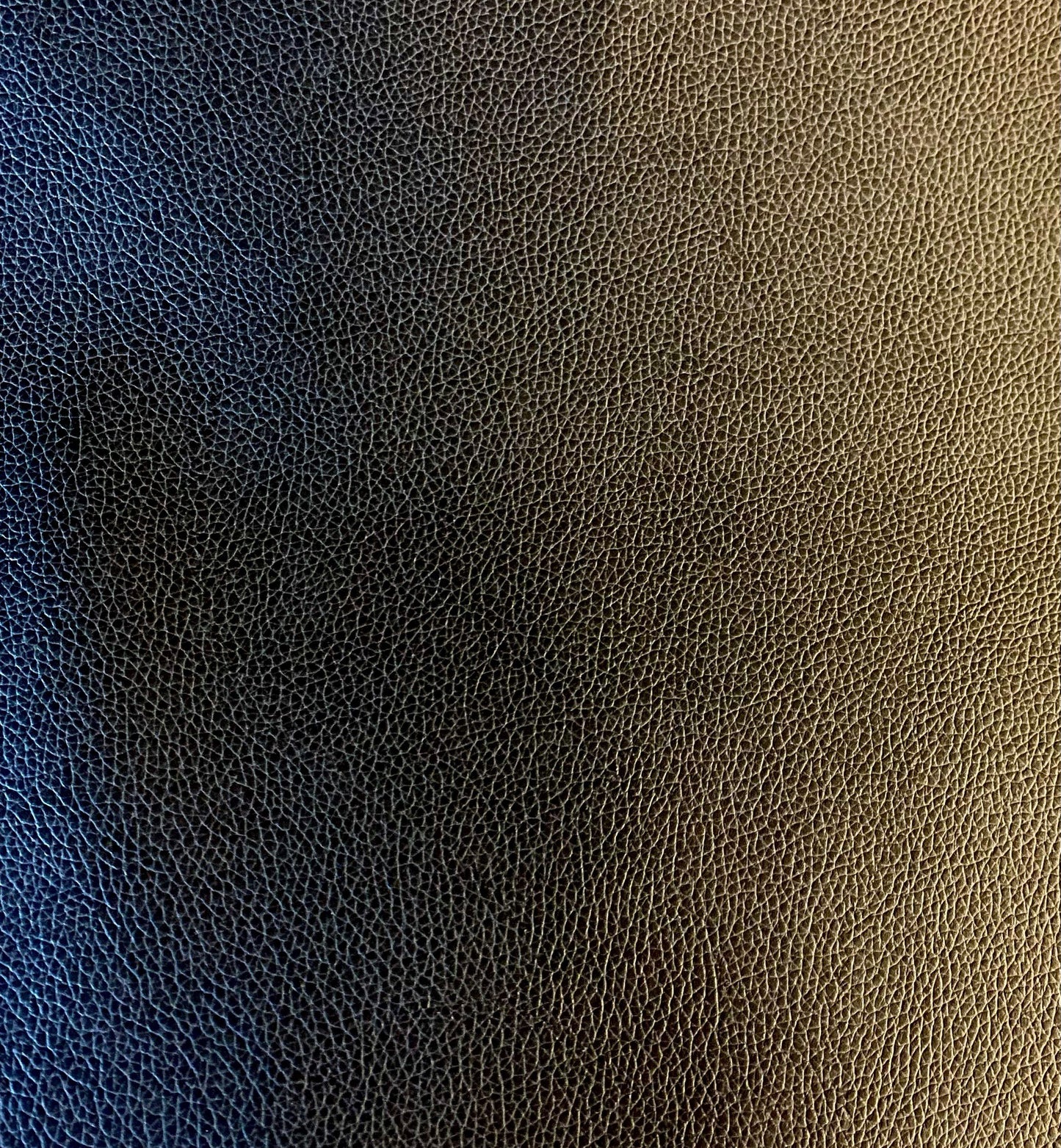 Purchase JF Fabric - Stallion 96J9591