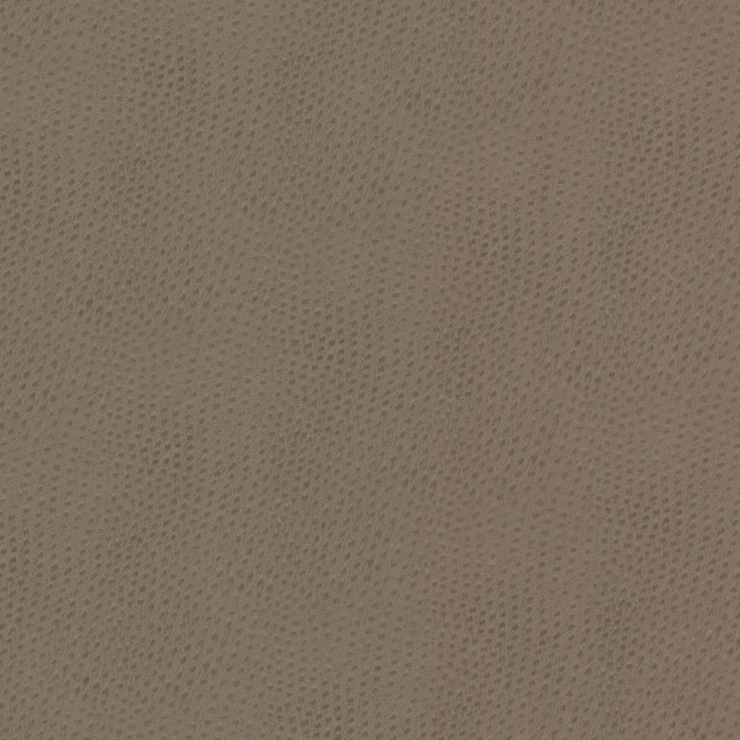 Purchase Stout Fabric Product# Steeplechase 1 Putty