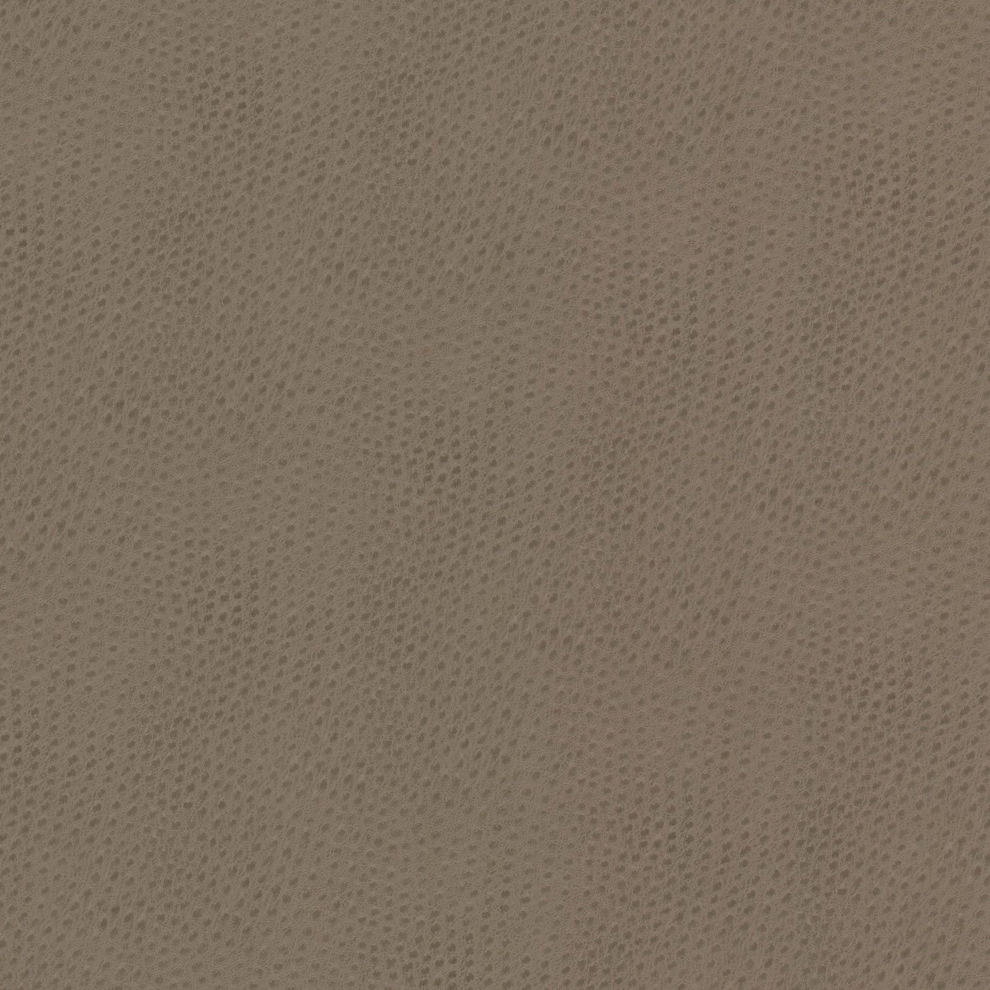Purchase Stout Fabric Product# Steeplechase 1 Putty