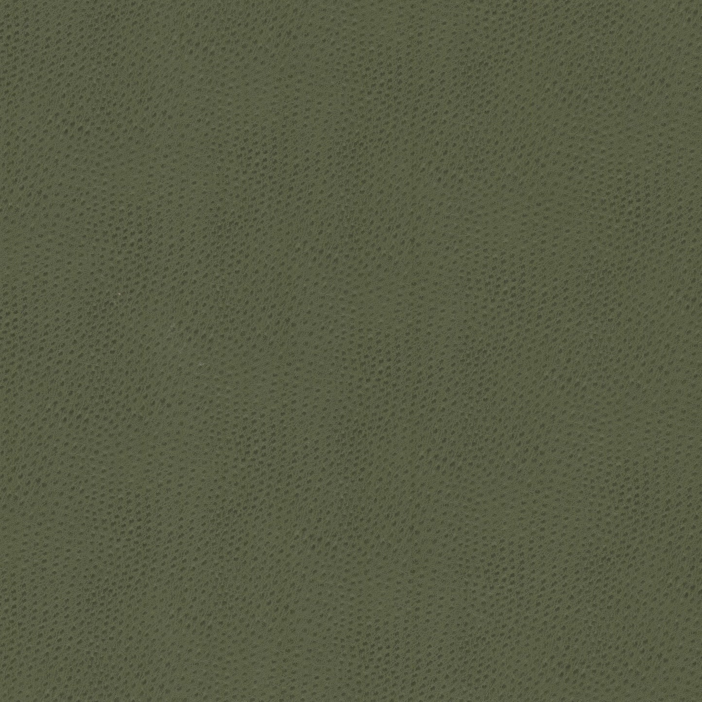 Purchase Stout Fabric SKU# Steeplechase 2 Dill