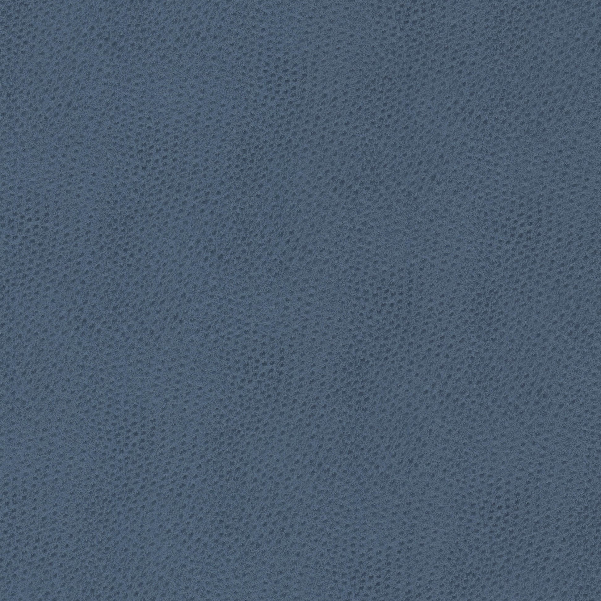 Purchase Stout Fabric Pattern# Steeplechase 3 Bluebird