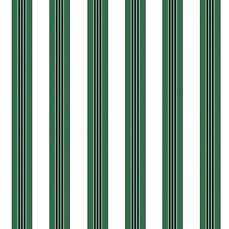 Sample P8015104.53 Rayure Lione Emerald Brunschwig and Fils