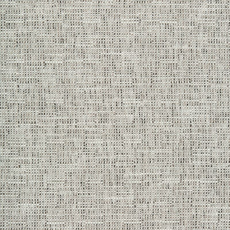 Sample 35980.121.0 Oaks White Solid Kravet Fabric Fabric