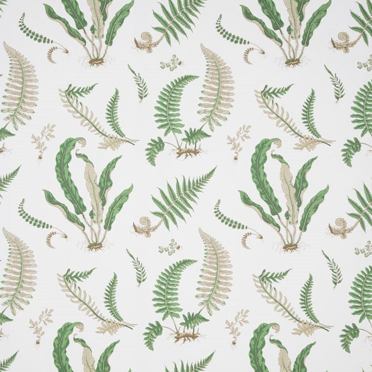 Sample B0860.01.0 Ferns Print, Snow Multipurpose Fabric by Lee Jofa
