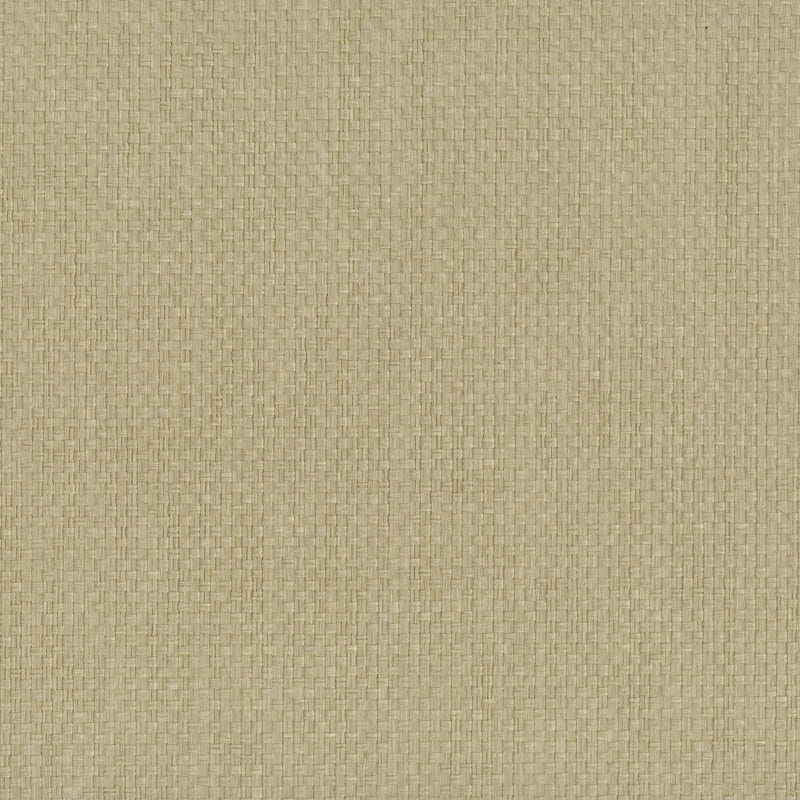 Acquire 9052 31WS121 Indochine JF Wallpaper