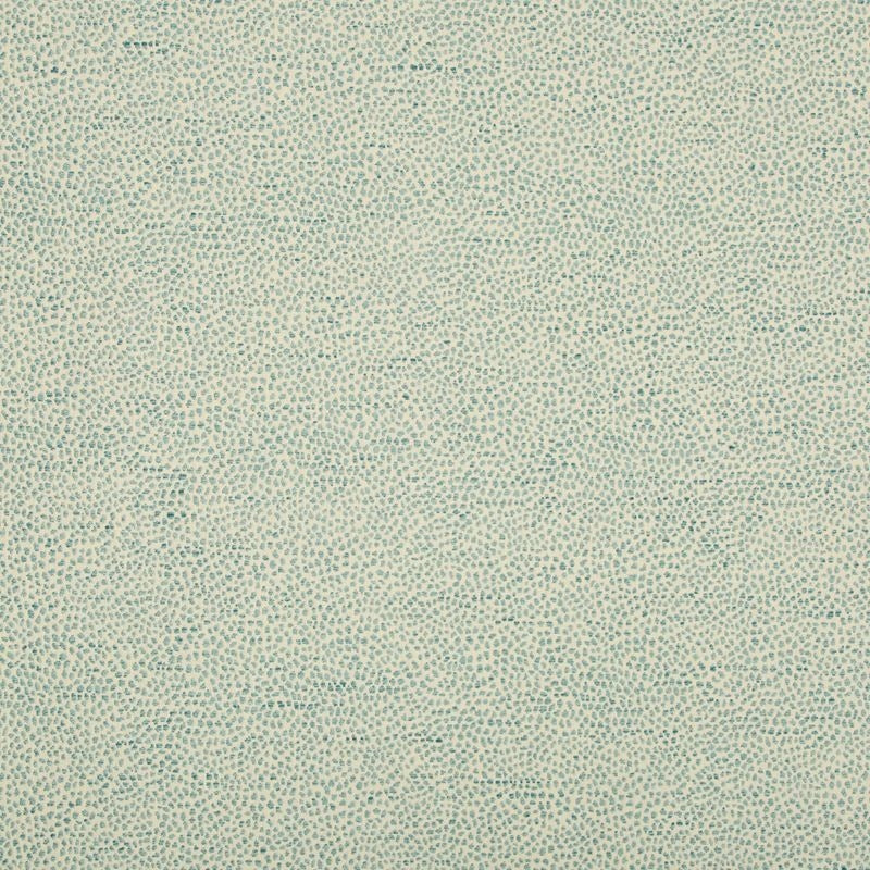 Sample 35595.13.0 Blue Animal Skins Kravet Fabric Fabric