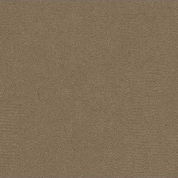 Sample 2016122.1611 Oxford Velvet Taupe Solids/Plain Cloth Lee Jofa Fabric