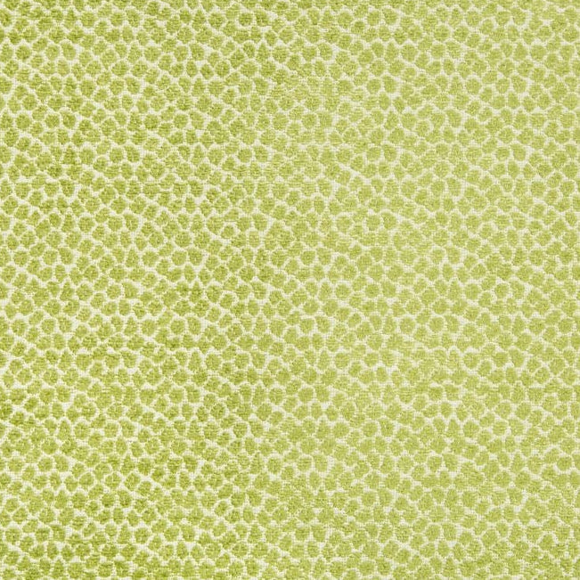 Sample 34745.3.0 Green Upholstery Skins Fabric by Kravet Contract