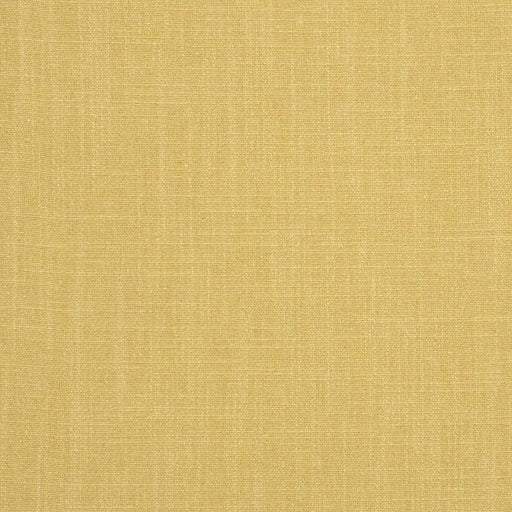 Sample F0736-1 Easton Acacia by Clarke and Clarke