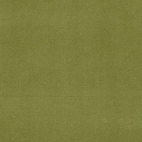 Sample F0753-77 Alvar Leaf Solid Clarke And Clarke Fabric