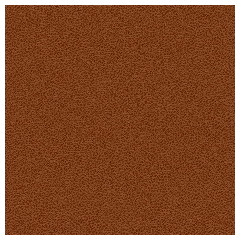 Sample RIGEL.24.0 Kravet Smart Red Solid Kravet Design Fabric